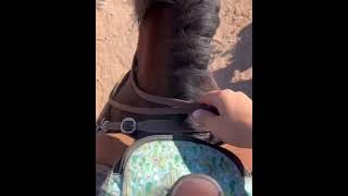 Riley 4yr Devils Garden Mustang