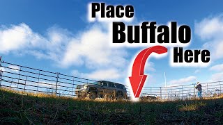 Corral Set Up For The Coming Buffalo!