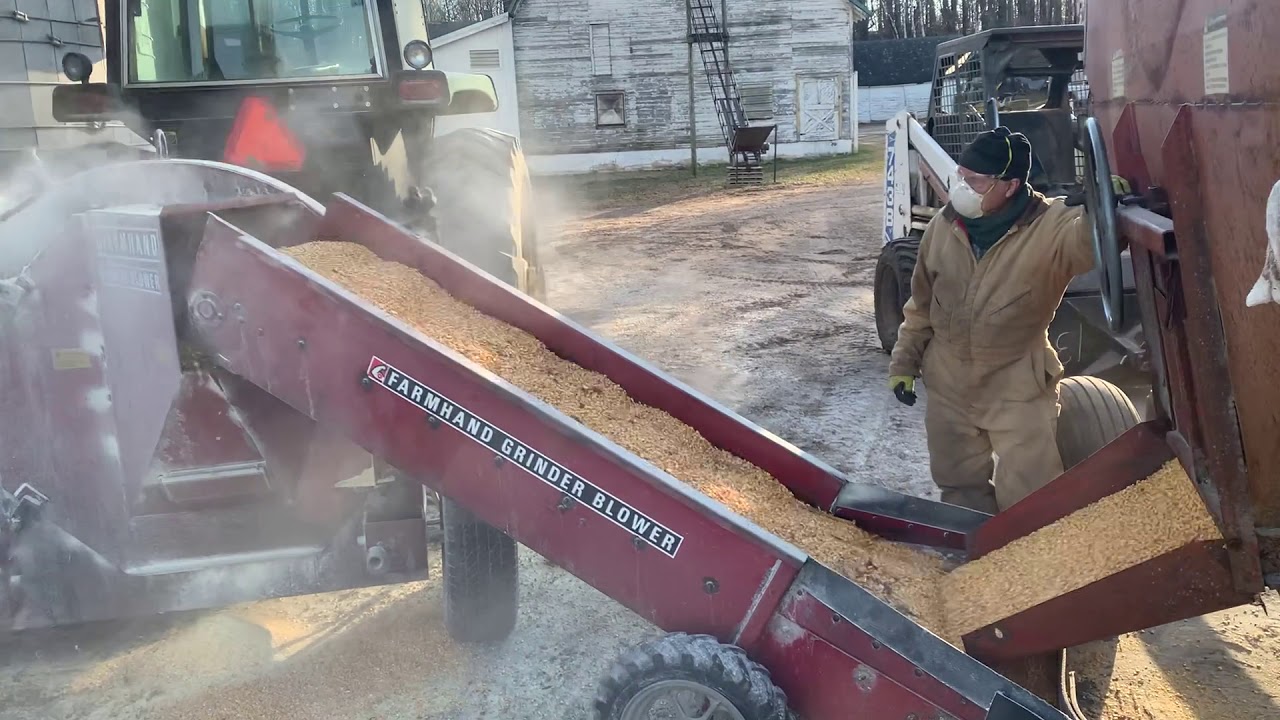 Farmhand Grinder Blower filling silo YouTube
