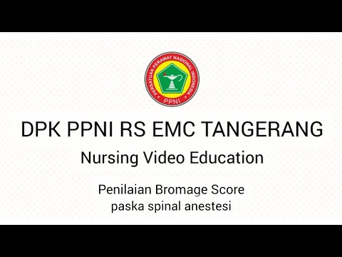 Penilaian Bromage Score