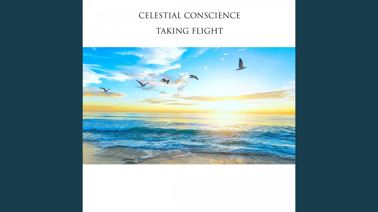 Watch Taking Flight on YouTube Watch Taking Flight on YouTube