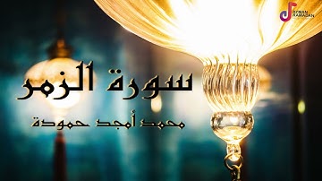 سورة الزمر - محمد أمجد حمودة