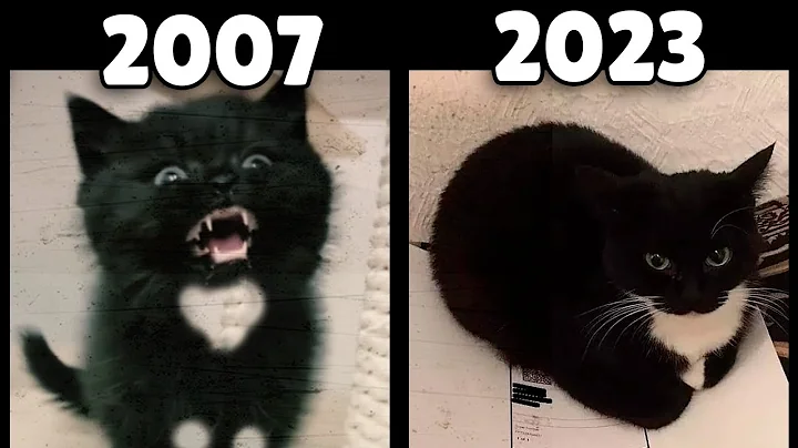 evolution of Maxwell the Cat - DayDayNews