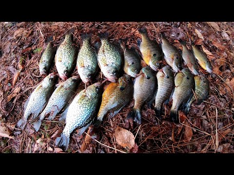Gill Tickler #10 - Float Fishing for Crappie, Bluegill, and Other Sunfish