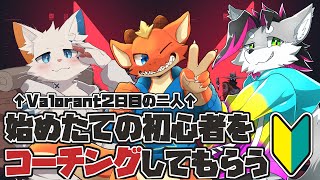 【VALORANT】始めたての初心者コーチング回【旅猫シロ/ケモノVtuber】