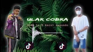 Dj virall MANTAN SU JADI APA ULAR COBRA [ Aldo bz X karel kakondo] tiktok 2021