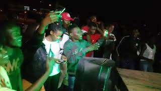 Gentoz Bmg Buffalo Performance Ohistory Yoye Song