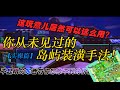 【动森】这些玩意儿居然可以这么用?你从未见过的岛屿装潢手法!(下)【实操篇】