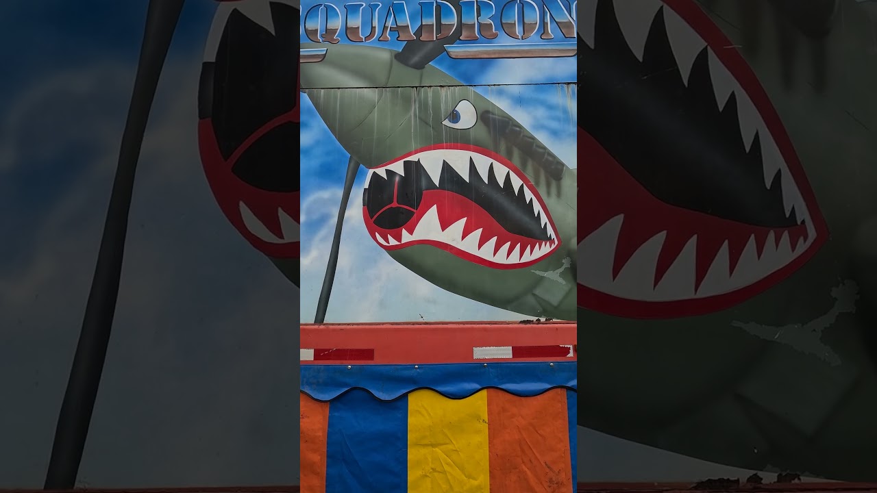 Shark Plane Squadron on attack mode will Johnny fly the next flight pattern