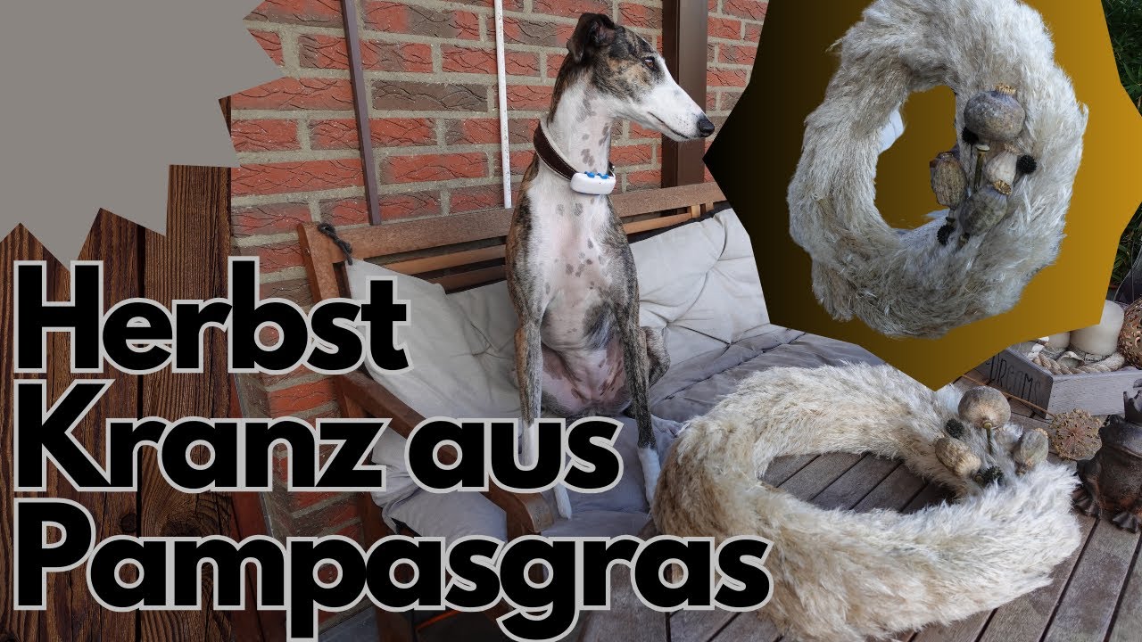 Ich mache einen Herbst-Kranz mit Pampas-Gras für die Wand - Herbst 2023