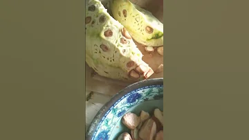 August 16 2025 CAMANSI Eto Ang Resipe NgaUng TanghaLi ALam Nio Ba To Mga Guys 