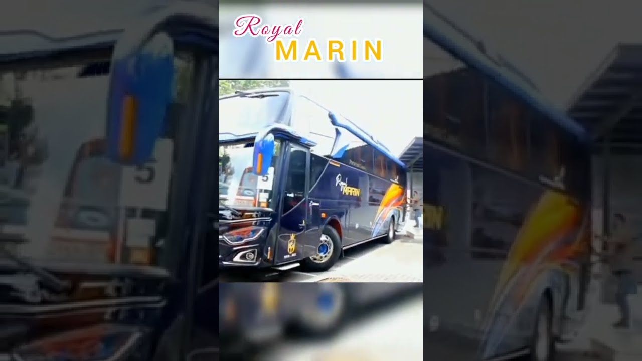 Royal Star: Raja Jalan Raya yang Membawa Anda Menuju Petualangan Tak Terlupakan