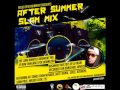 Dj ruud   bashment mix 2015  after summer slam mix