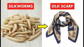 How Luxury Silk Towels Are Made Full Manufacturing Plant Tour
