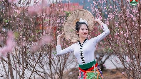 Hoa của núi - Ca sĩ A Páo