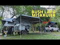 Bush lapa miskruier  walk around