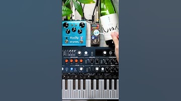 Arturia MicroFreak + Rainger FX Minibar + Strymon blueSky｜Experimental Music, soundscape　#shorts