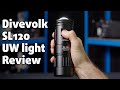 Best value uw light in 2024   reviewing the divevolk sl120 underwater light