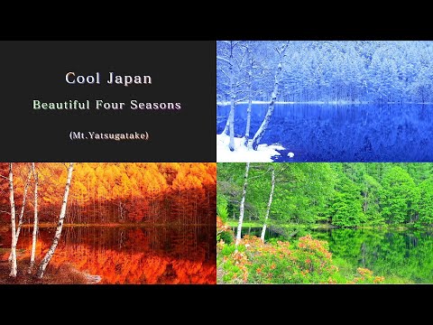 Cool Japan Beautiful Four Seasons Mt.Yatsugatake 4K映像