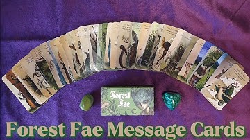 Forest Fae Message Cards🌳🧚‍♀️ | Unboxing with First Impressions and Flip Through