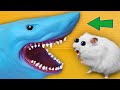 DIY Hamster Maze | Maze with Traps | Shark