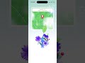 Seedling Plucked