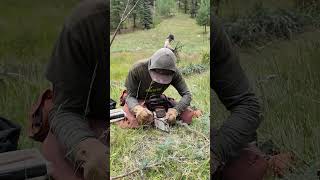 ASMR: River Restoration