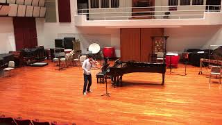 1st mvt from Violin Sonata in D major, Op. 12 No. 1 - L. v. Beethoven