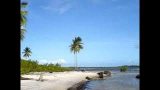 The Starlights - Boderation