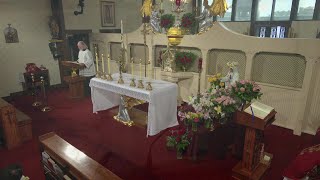 Daily Readings and Homily - 2024-05-19 - Fr. Leonard