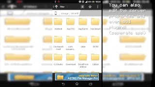 PocketMine on Android device screenshot 5