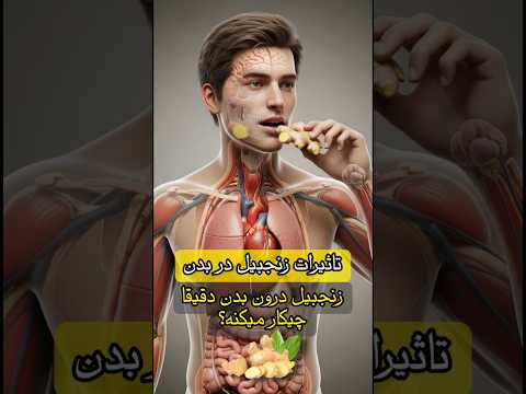 وقتی زنجبیل می خوری تو بدنت چی می شه فواید عوارض واقعی آناتومی ۳