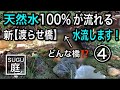 天然水が流れる小さな池を作る ④ 池に水入れ & 新・渡らせ橋作りました！水流します！