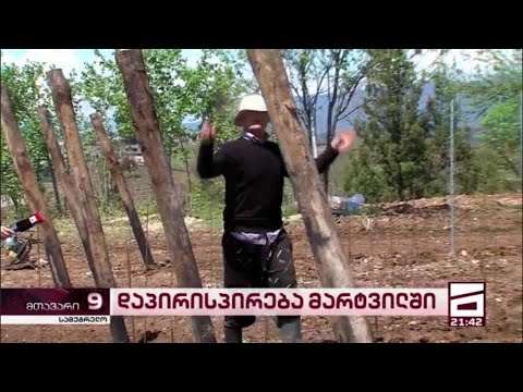 გამდიდრებული ჭინკა