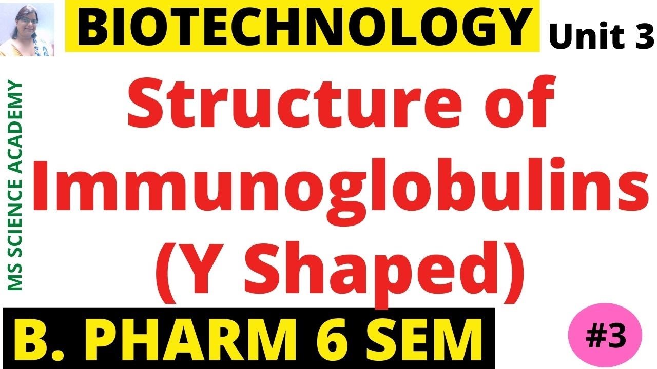 Structure of Immunoglobulins-Pharmaceutical Biotechnology-Unit 3- B. Pharmacy 6 Sem--Lect.3