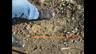 Bigfoot and the Indiana deer hunter EP-24