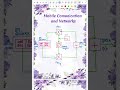 QPSK BLOCK DIAGRAM 🫡