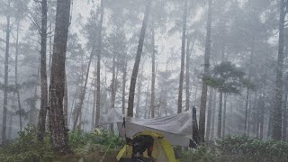 AMAZING❗CAMPING IN HEAVY RAIN AND THUNDERSTORM⛈️ HIT BY RAINSTORM IN CAMPING