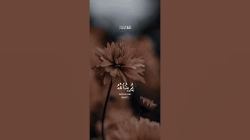 القرآن الكريم ياسر الدوسري سورة النساء والله يريد ان يتوب عليكم