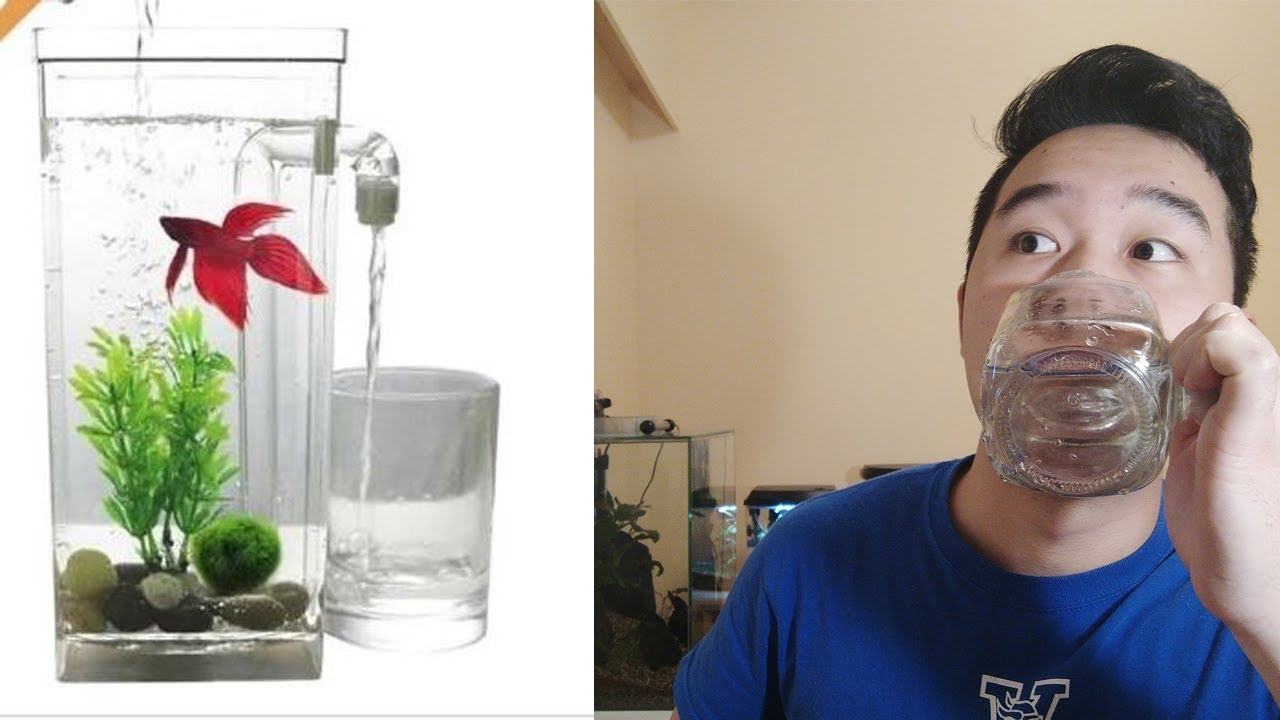 the best way to filter your water Fish Tank Review Ep. 9 YouTube
