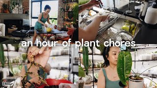 spend the morning with me and 100+ plants! 🪴