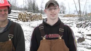 Enterprising Johnson brothers on North Shore logging