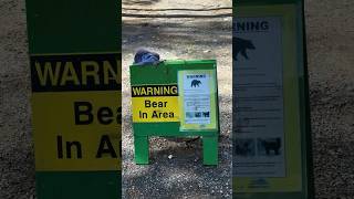 Multiple bear encounter while hiking at Grassi Lake in Canmore Alberta.