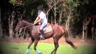 Download Lagu .: you can be the king kong :. MP3