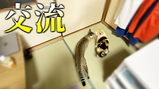 まりもとみーちゃん急接近！