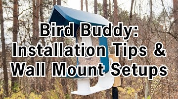 Tips for Setting Up the Bird Buddy and Mounting the Feeder Using the Wall Mount with the APS