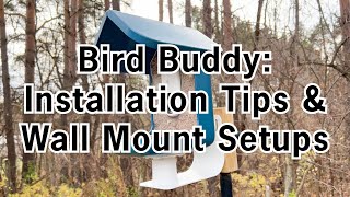 Tips for Setting Up the Bird Buddy and Mounting the Feeder Using the Wall Mount with the APS