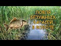 ЛОВЛЯ КАРАСЯ В КАМЫШАХ НА ПОПЛАВОК