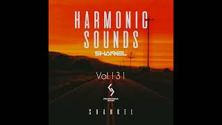 Dj Микс Shankel Harmonic Sounds. Vol.131