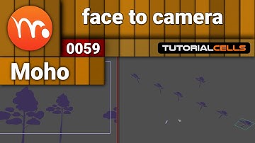 0059. face to camera setting in moho